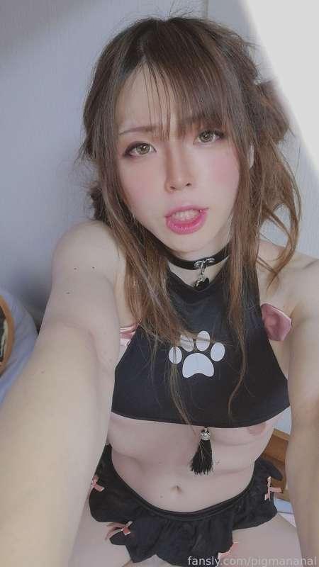 pigmananal image #19