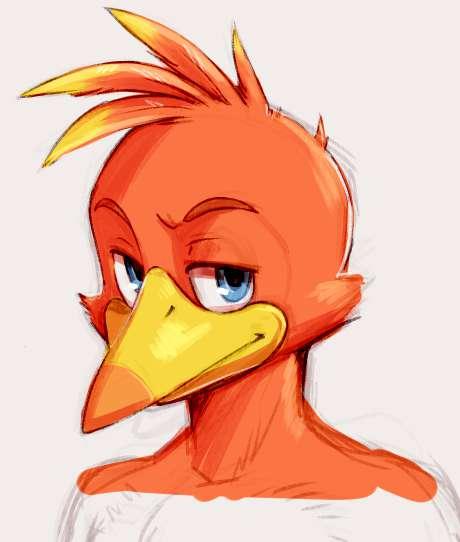 A Bird