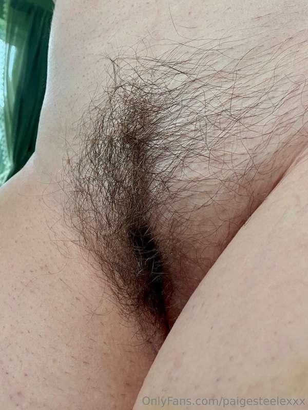 Bush update: Jolene is still growing. Slowly, but surely! 