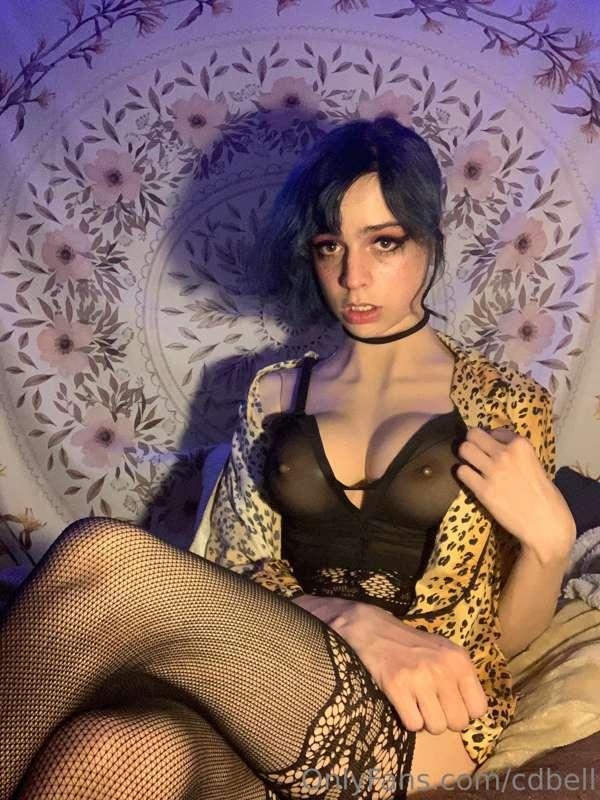 cdbell image #5