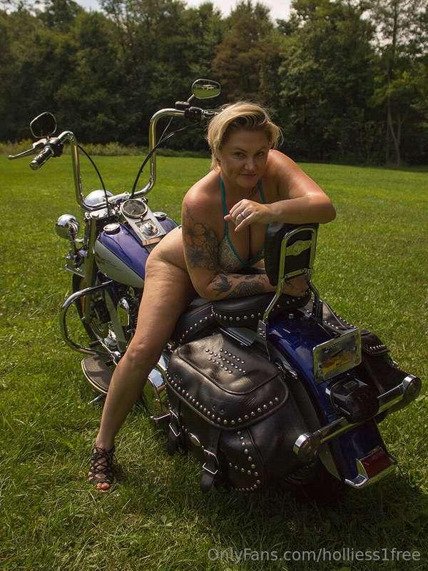 holliess1free image #4