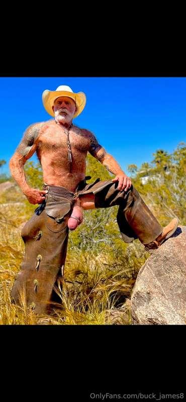 Cowboy cock