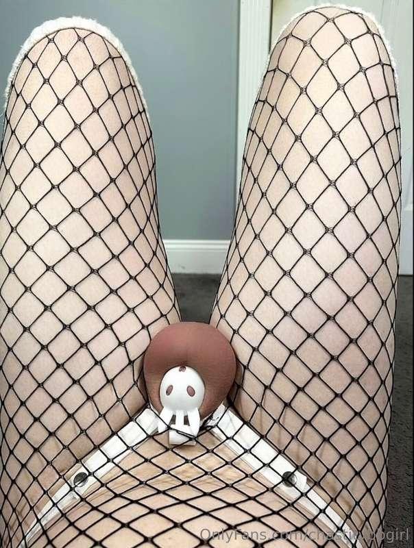 chastitybbgirl image #3