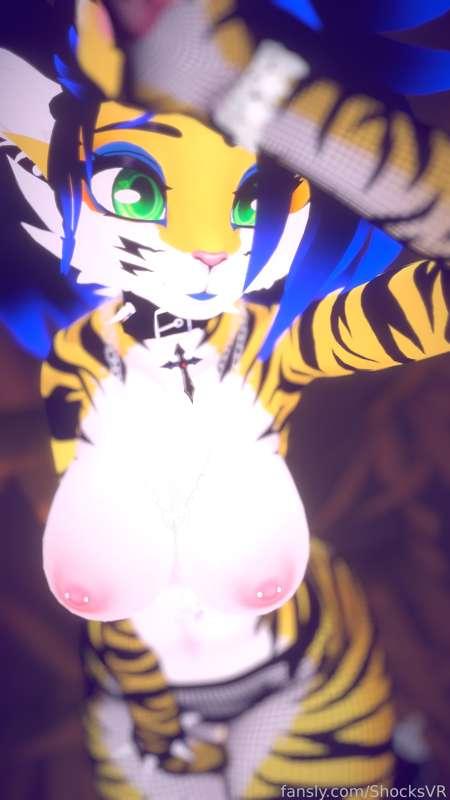 shocksvr image #12