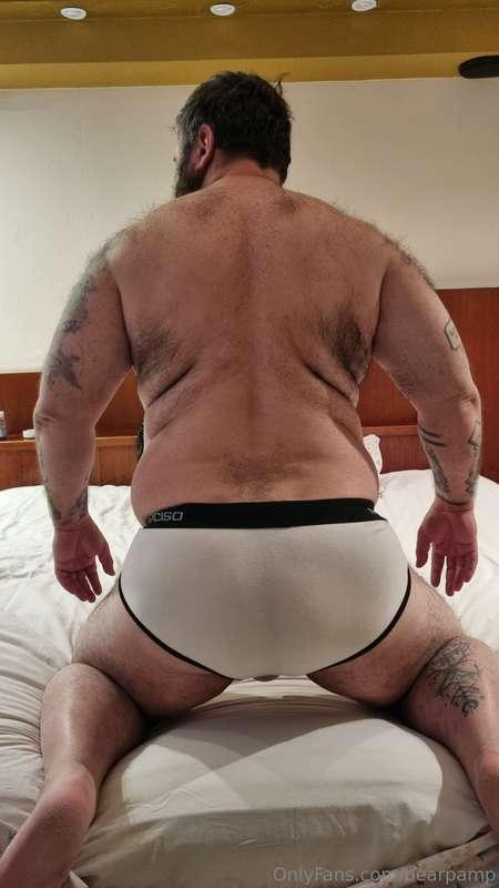bearpamp image #2