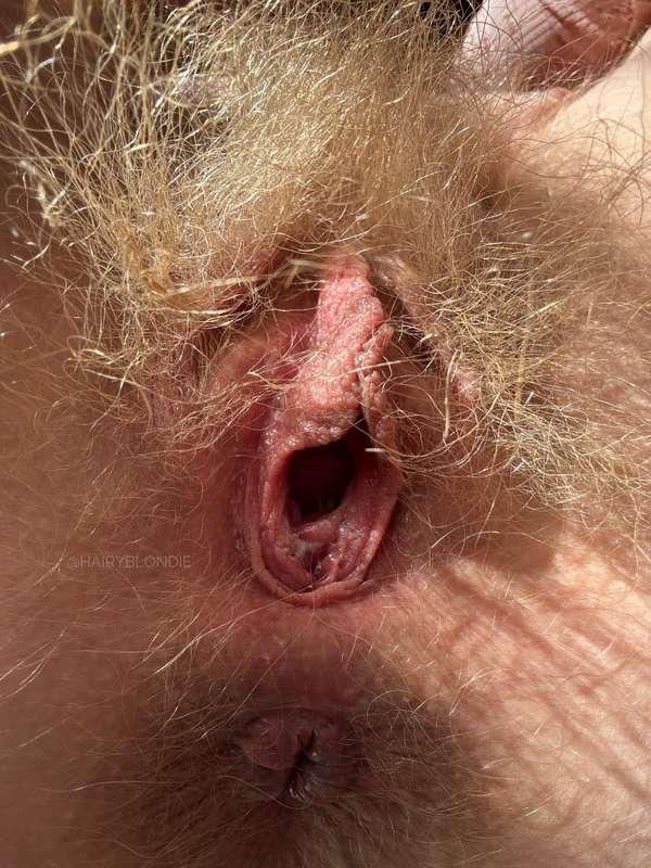 hairyblondie image #4