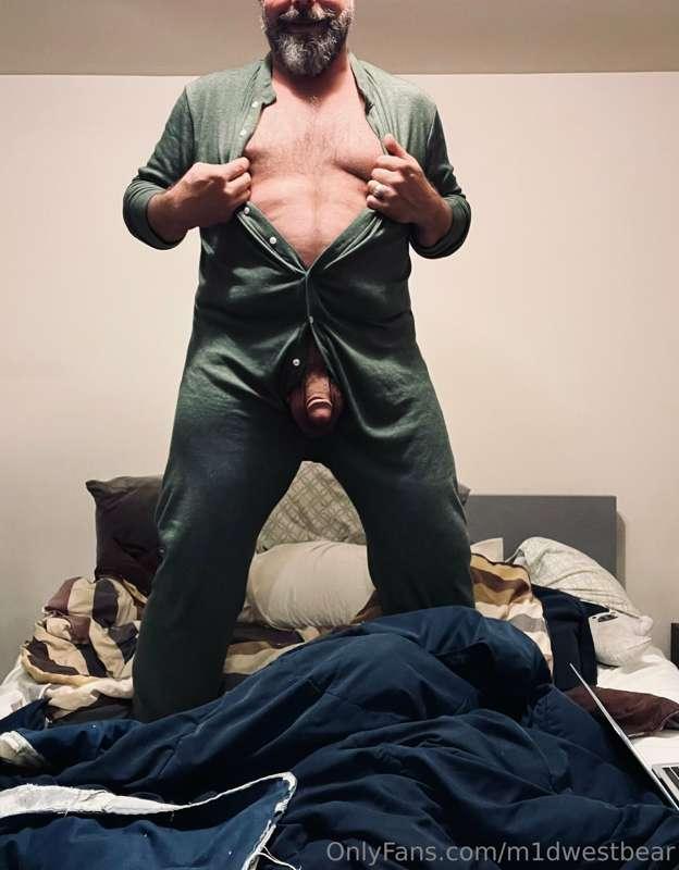 m1dwestbear image #8