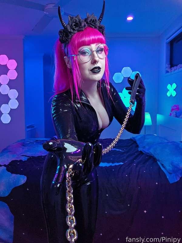 pinipy image #1