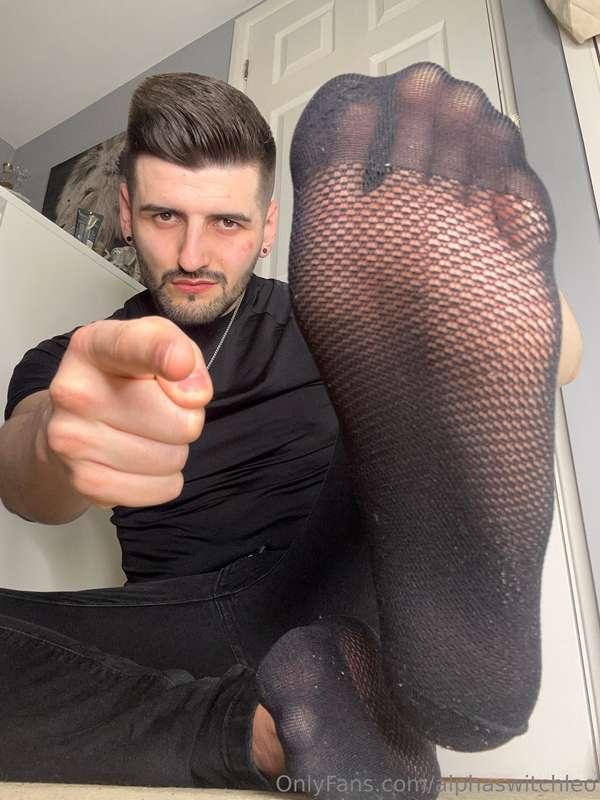 alphaswitchleo image #0