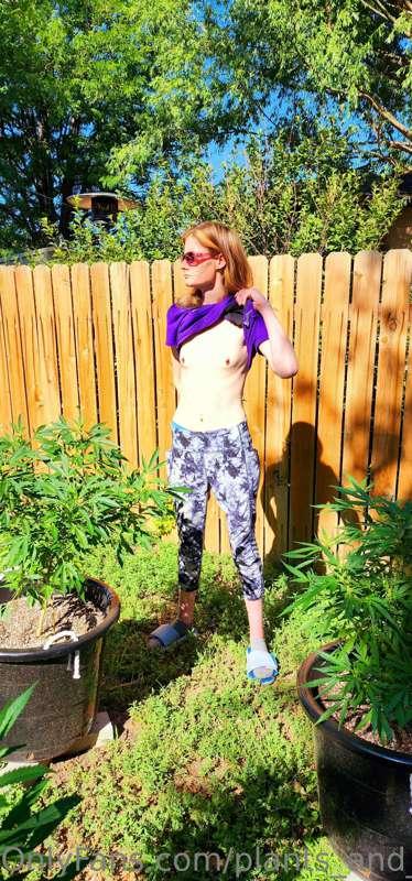 plants_and_piercings image #0