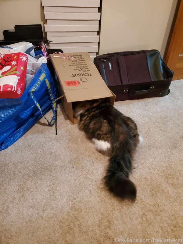 It may be hard to tell, but there is a master of stealth som..