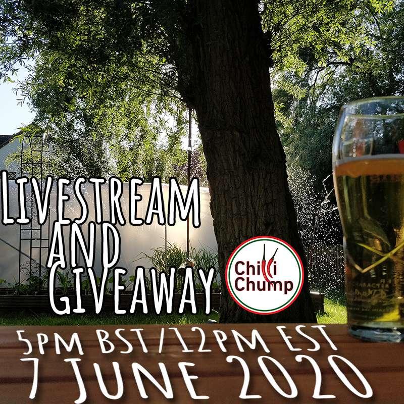 Livestream this Sunday!