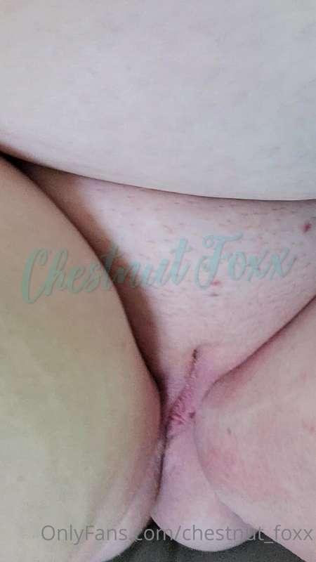 chestnut_foxx image #8