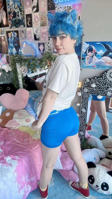 indigowhite image #87