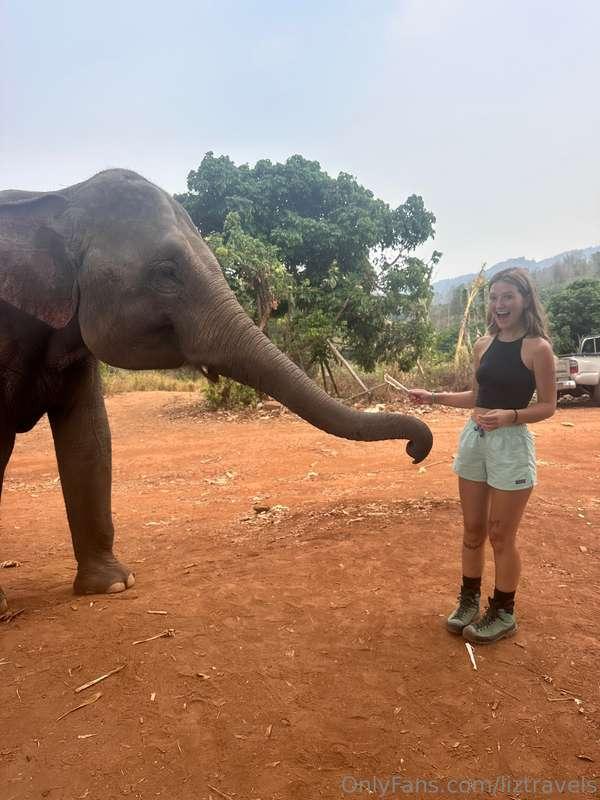 Hiked out of the village, and to an ethical and lovely eleph..