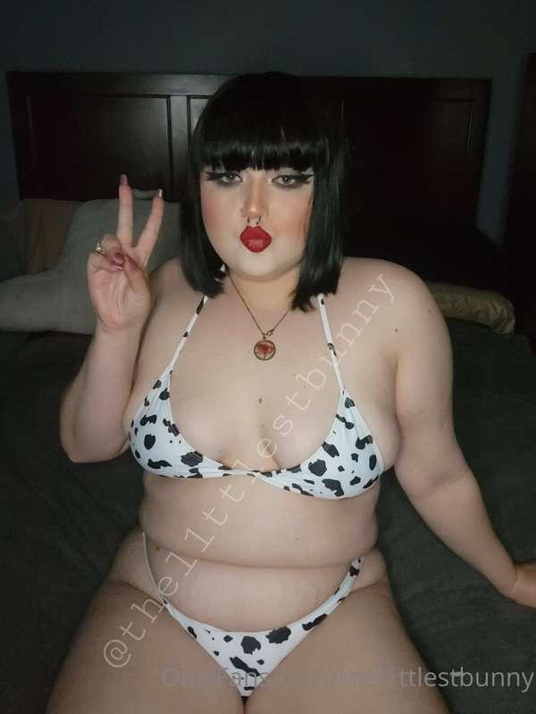 thel1ttlestbunny image #0