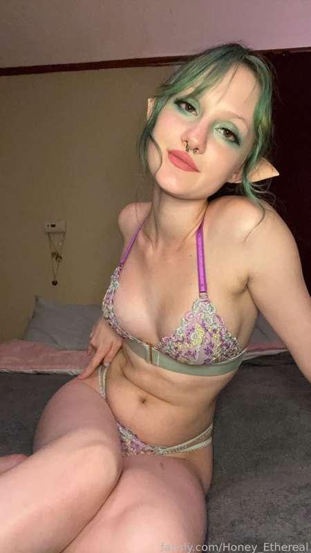 hxney_kitten image #3