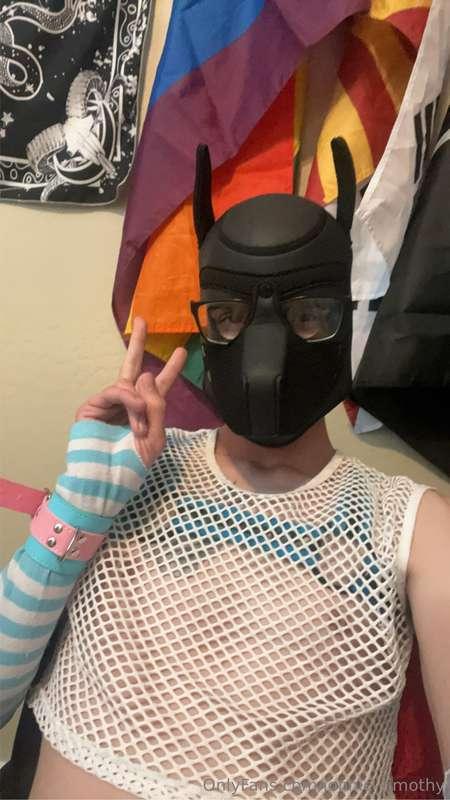 Cute puppy femboy
