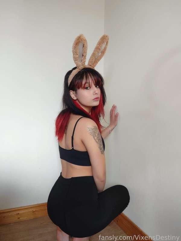 vixensdestiny image #4