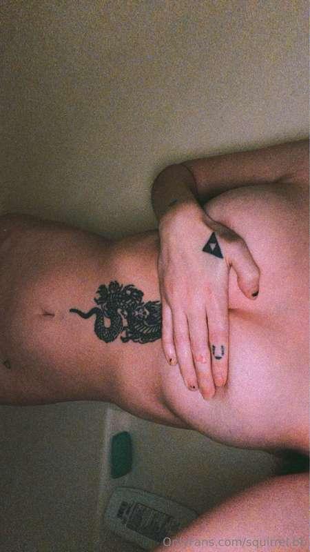 squirrel.bb image #1