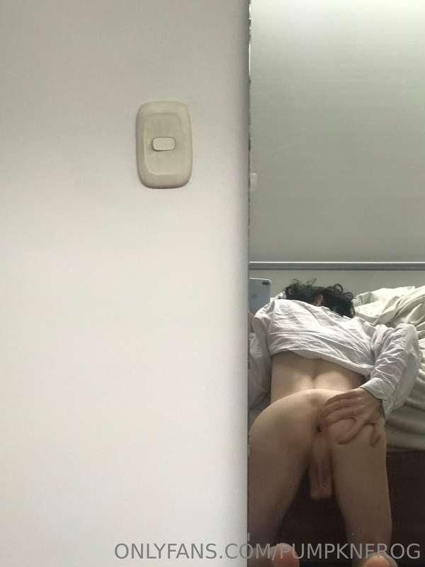 maplefroggy image #0