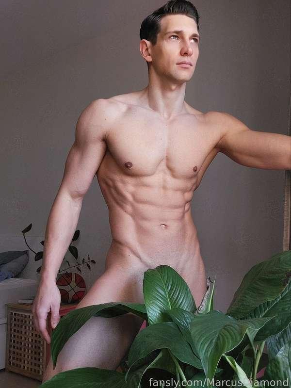 marcusdiamond image #1