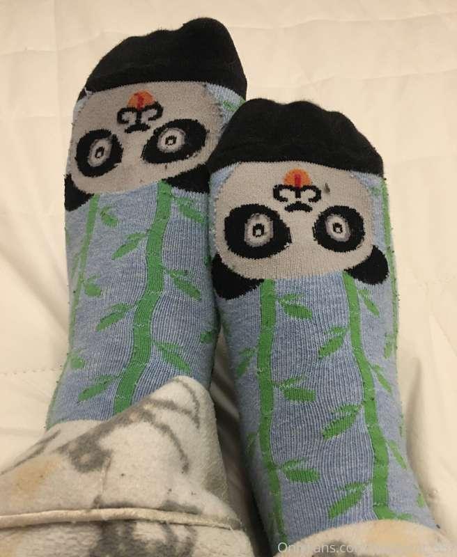 I love these adorable panda socks 😁😆🥰 Goodnight Masters. Moi..