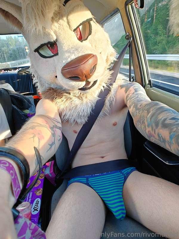 🩲☀️ Road trip doggie~