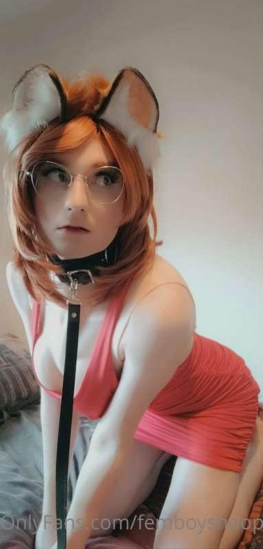 Pet femboy  😳
(Videos coming soon x)