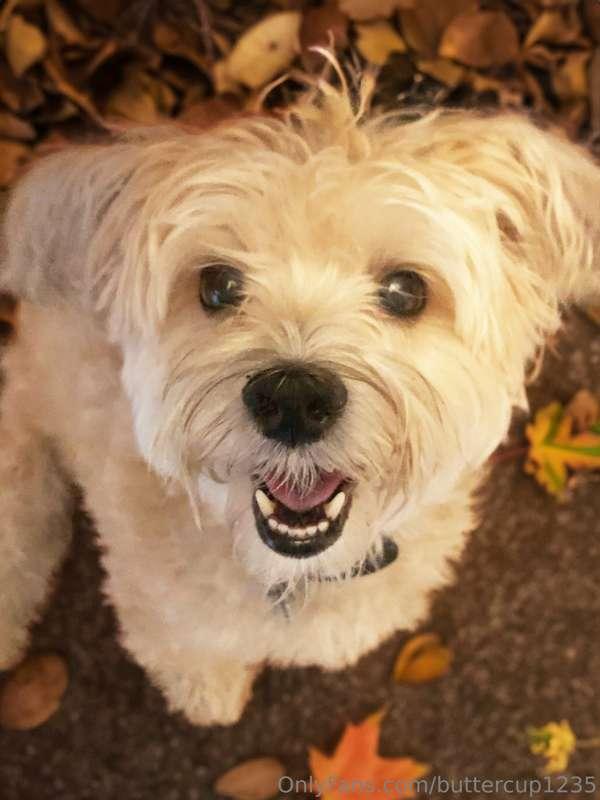 Happy 14th Birthday Bella! 🎂 
Bella is my favorite sunshine ..