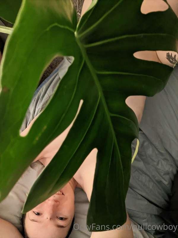 swipe to reveal more 🌿