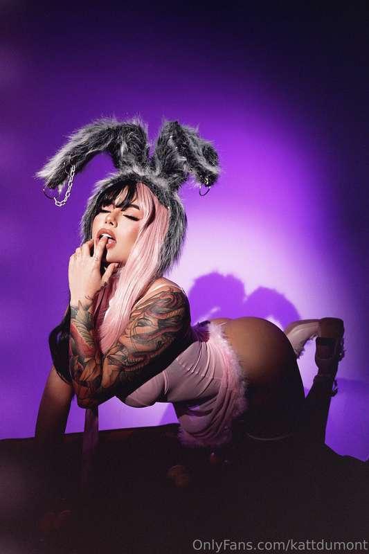 Bunny!🐰