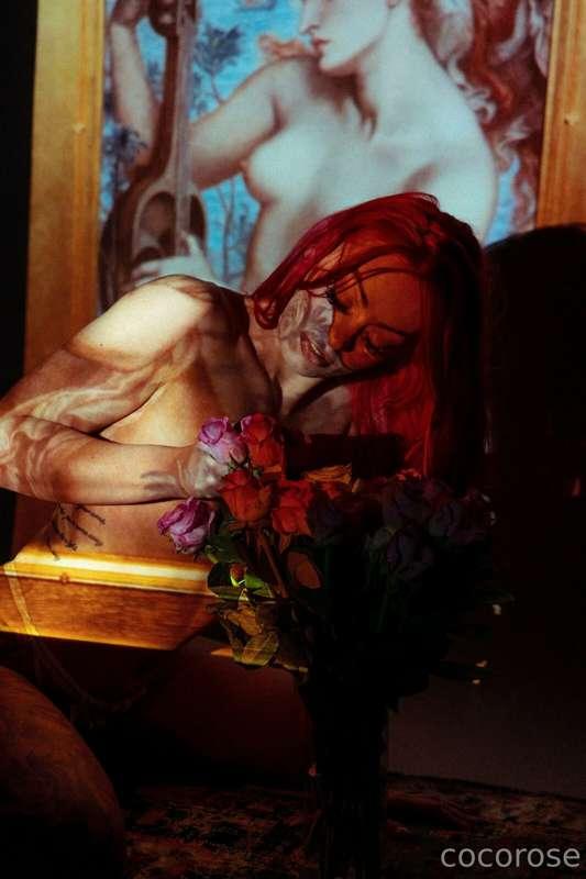 Roses are my favorite ever!