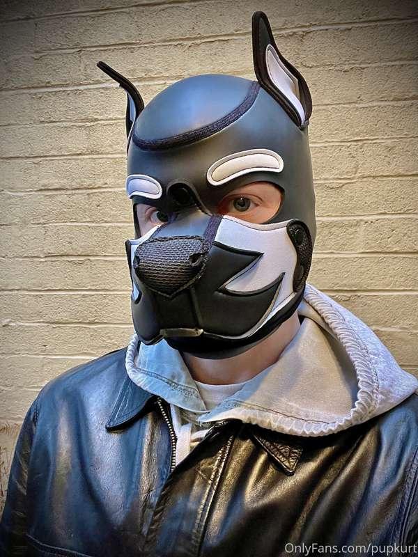This pup needs some luv.
