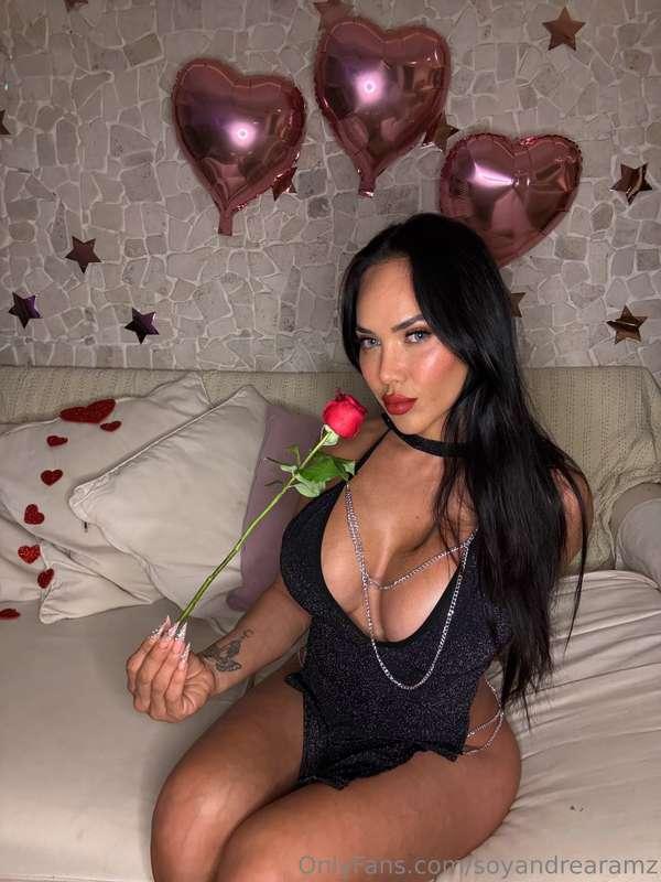 soyandrearamz image #1