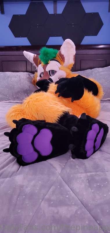 thepineapplefox image #5