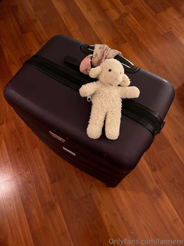 Let’s see… suit case is packed… Anything else before we go? ..