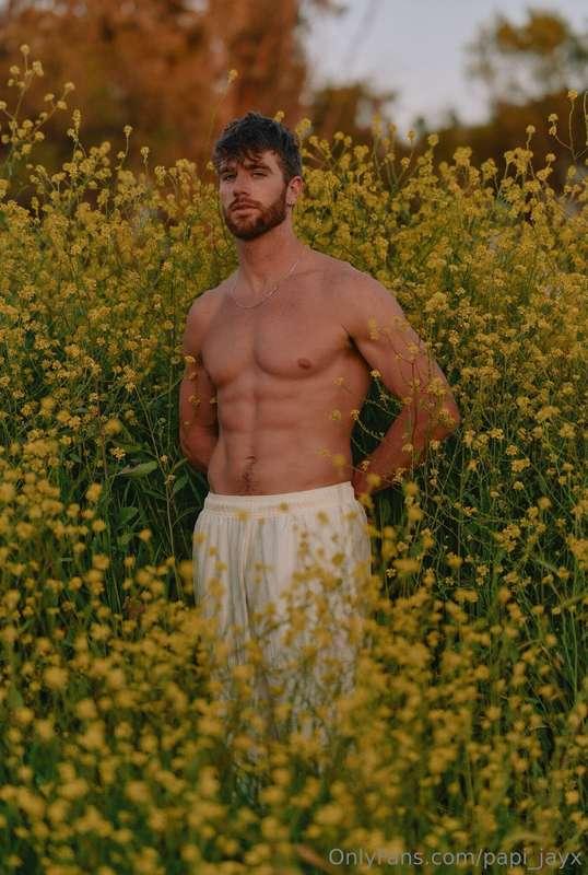 This is a “Pick Me” post 🙋🏼‍♂️🌼