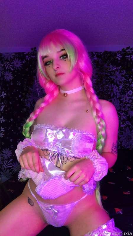 petuxia image #20