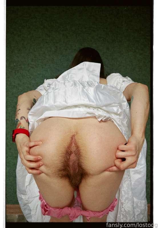 lostodg image #5