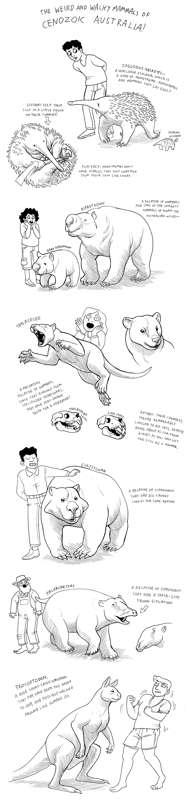 Ancient Mammals of Australia