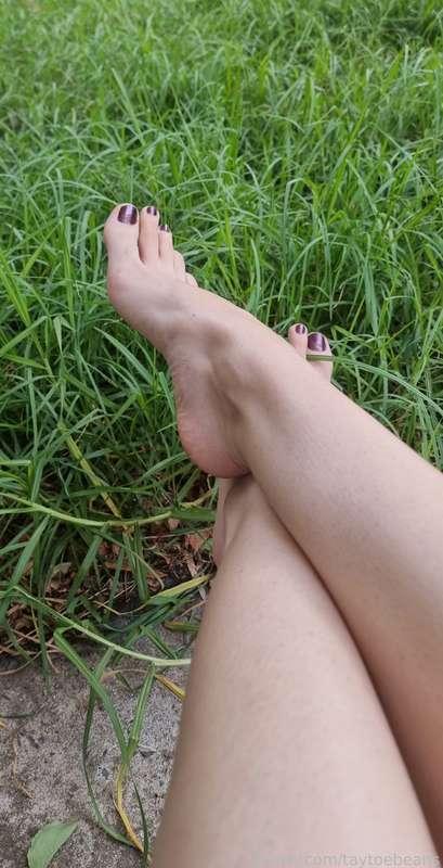 taytoebeans image #2