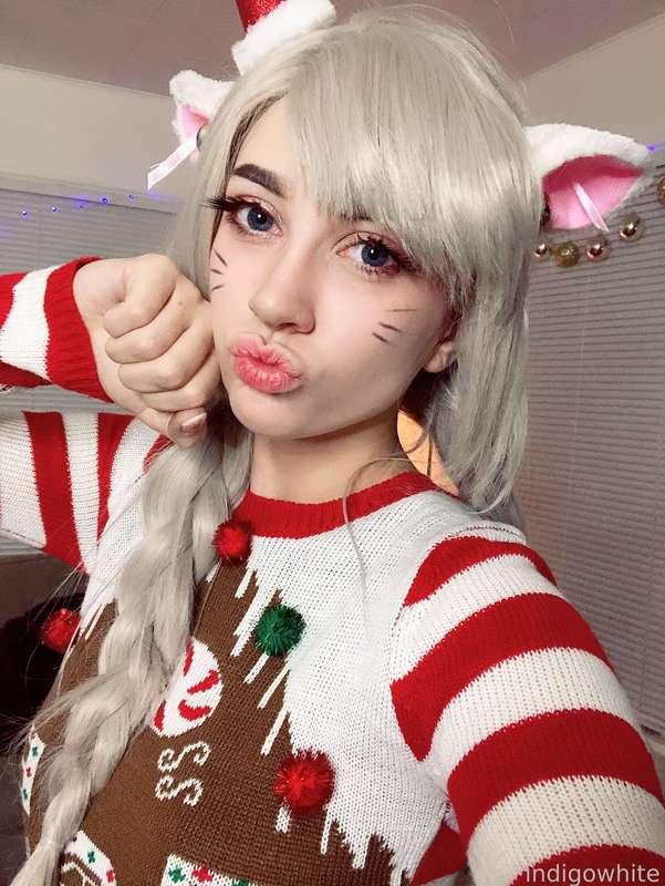 indigowhite image #24