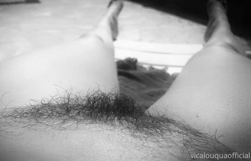 A big bush :)