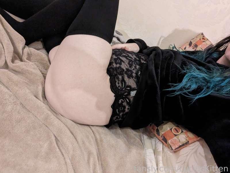 luciuskitten image #1
