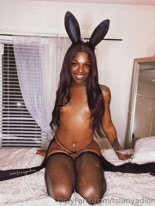 tslariyadior image #9