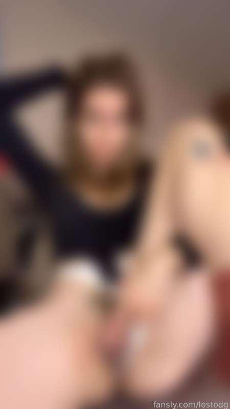 lostodg image #1