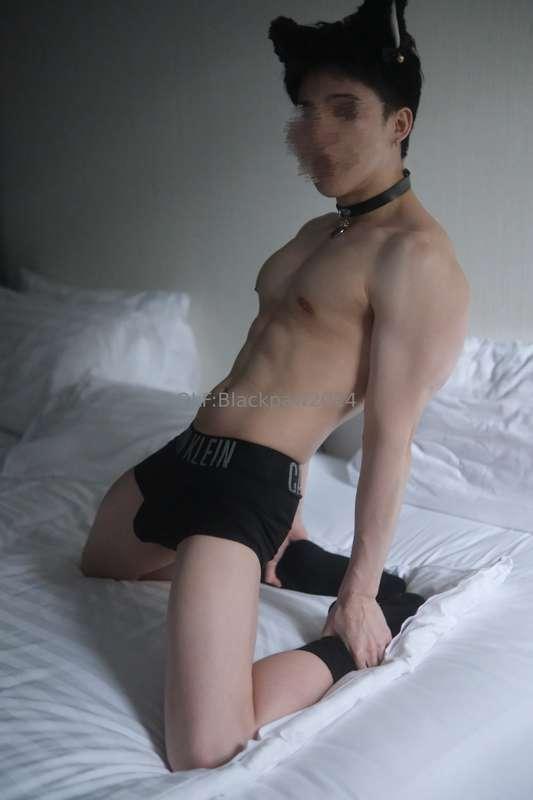 blackpaw2024 image #4