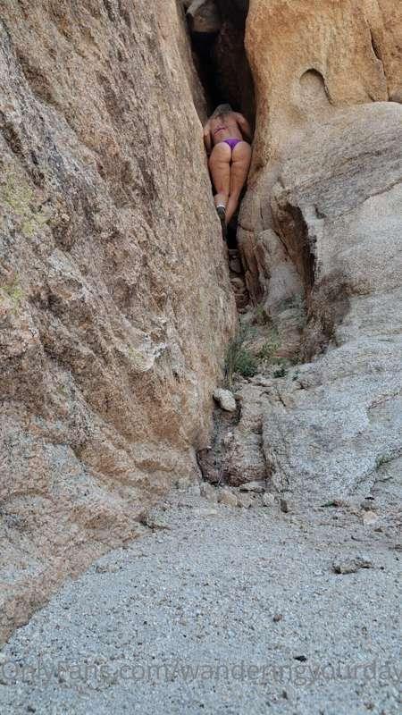 wanderingyourdaydreams image #0