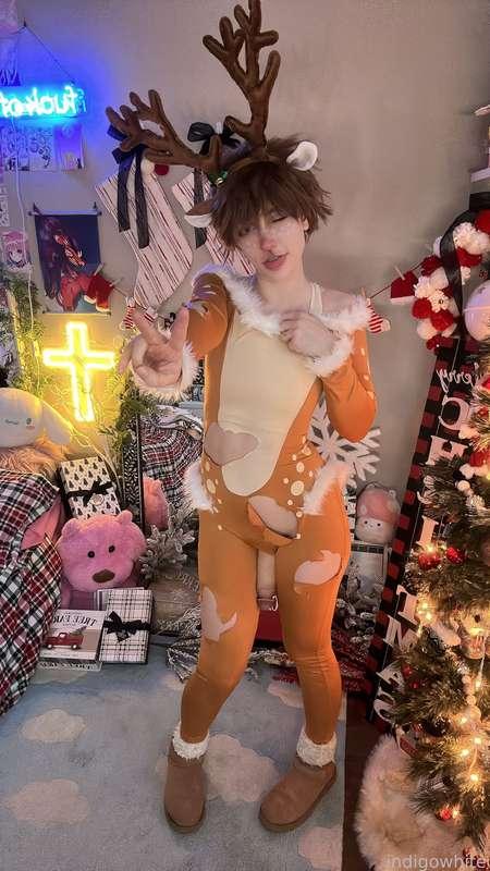 indigowhite image #32